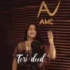 About Teri Deed Song